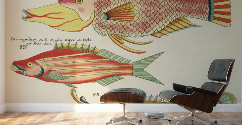Colourful and surreal illustrations of fishes found in Moluccas Indonesia and the East Indies by Louis Renard 1678 -1746 from Histoire naturelle des plus rares curiositez de la mer des Indes 1754. Wall Murals
