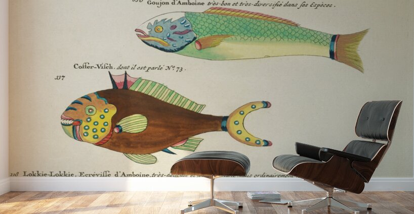 Colourful and surreal illustrations of fishes and other marine life found in Moluccas Indonesia and the East Indies by Louis Renard 1678 -1746 from Histoire naturelle des plus rares curiositez de la mer des Indes 1754. Wall Murals