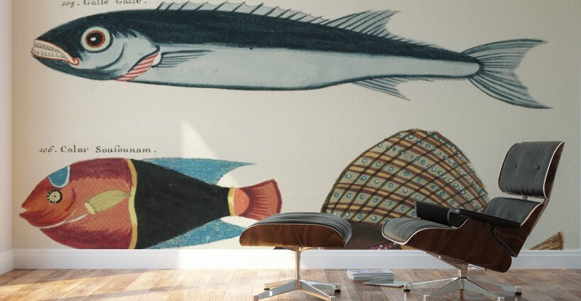 Colourful and surreal illustrations of fishes found in Moluccas Indonesia and the East Indies by Louis Renard 1678 -1746 from Histoire naturelle des plus rares curiositez de la mer des Indes 1754. Wall Murals