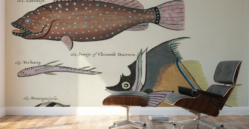 Colourful and surreal illustrations of fishes found in Moluccas Indonesia and the East Indies by Louis Renard 1678 -1746 from Histoire naturelle des plus rares curiositez de la mer des Indes 1754. Wall Murals