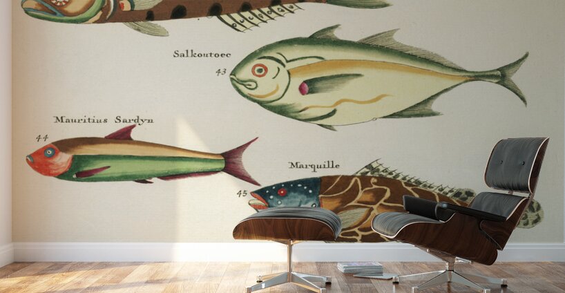 Colourful and surreal illustrations of fishes found in Moluccas Indonesia and the East Indies by Louis Renard 1678 -1746 from Histoire naturelle des plus rares curiositez de la mer des Indes 1754. Wall Murals