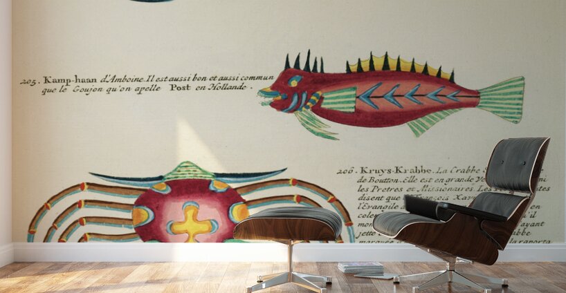 Colourful and surreal illustrations of fishes and crabs found in Moluccas Indonesia and the East Indies by Louis Renard 1678 -1746 from Histoire naturelle des plus rares curiositez de la mer des Indes 1754. Wall Murals