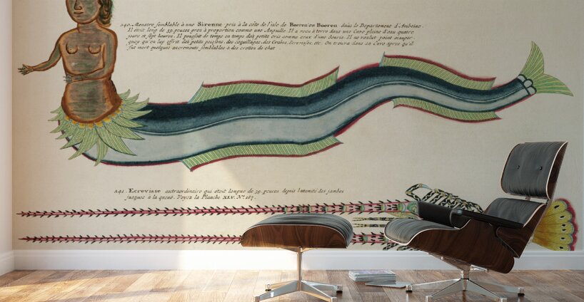 Illustrations of a siren and lobster found in the Moluccas Indonesia and the East Indies by Louis Renard 1678 -1746 from Histoire naturelle des plus rares curiositez de la mer des Indes 1754. Wall Murals