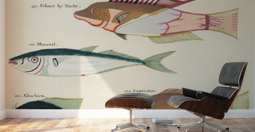 Colourful and surreal illustrations of fishes found in Moluccas Indonesia and the East Indies by Louis Renard 1678 -1746 from Histoire naturelle des plus rares curiositez de la mer des Indes 1754. Wall Murals