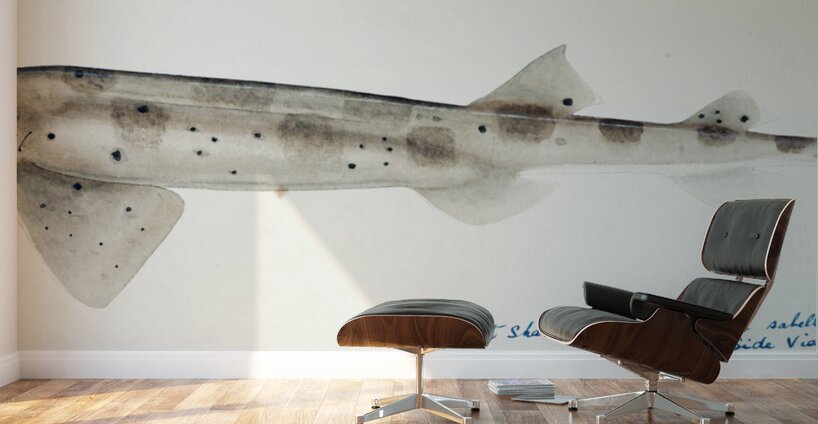 Antique fish Carpet Shark South Pacific Fishes by Frank Edward Clarke 1849-1899.  Wall Murals