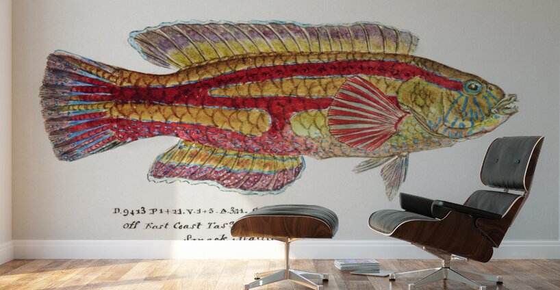 Antique Prickly anglerfish South Pacific Fishes by Frank Edward Clarke 1849-1899.  Wall Murals