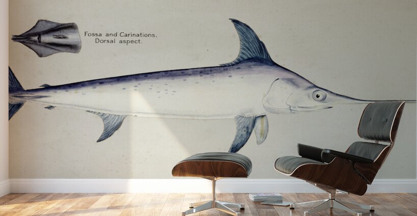 Antique Sword fish South Pacific Fishes by Frank Edward Clarke 1849-1899.  Wall Murals