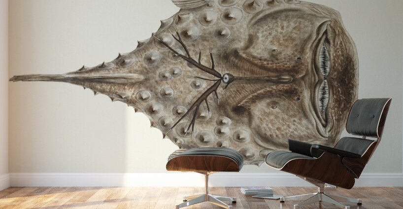 Antique Prickly anglerfish South Pacific Fishes by Frank Edward Clarke 1849-1899.  Wall Murals