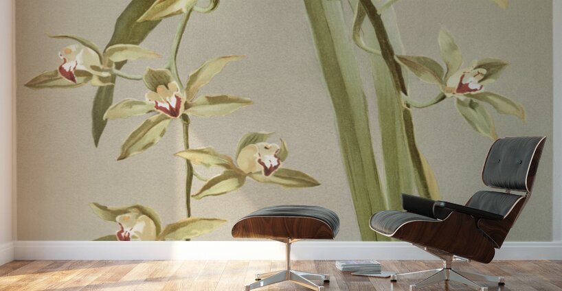 Cymbidium lowianum from Reichenbachia Orchids 1888-1894 illustrated by Frederick Sander 1847-1920.  Wall Murals