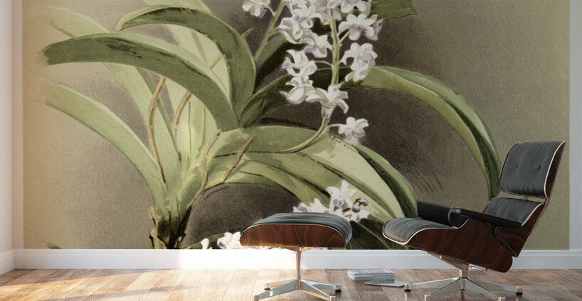 Saccolabium cœleste from Reichenbachia Orchids 1888-1894 illustrated by Frederick Sander 1847-1920.  Wall Murals