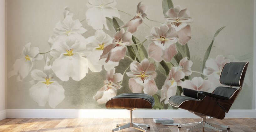 Odontoglossum vexillarium from Reichenbachia Orchids 1888-1894 illustrated by Frederick Sander 1847-1920.  Wall Murals