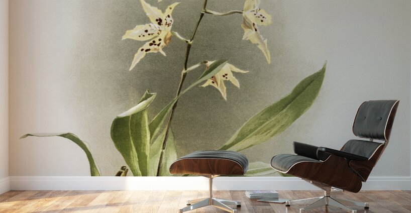 Odontoglossum hebraicum aspersum from Reichenbachia Orchids 1888-1894 illustrated by Frederick Sander 1847-1920.  Wall Murals