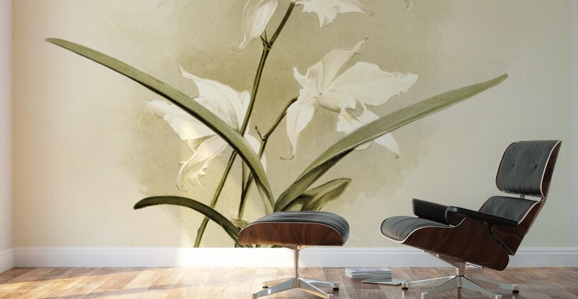Lælia autumnalis alba from Reichenbachia Orchids 1888-1894 illustrated by Frederick Sander 1847-1920.  Wall Murals