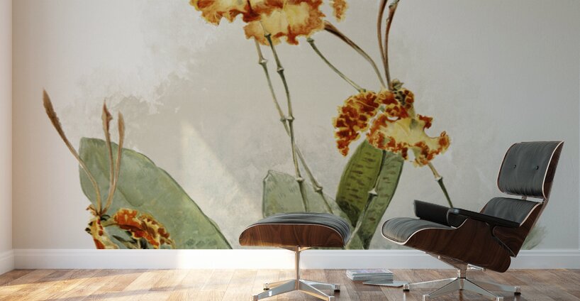 Oncidium kramerianum from Reichenbachia Orchids 1888-1894 illustrated by Frederick Sander 1847-1920.  Wall Murals