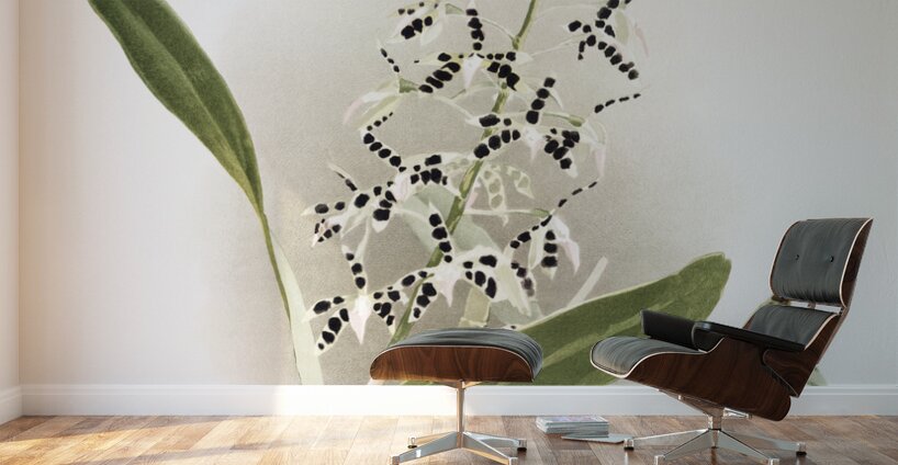 Epidendrum prismatocarpum from Reichenbachia Orchids 1888-1894 illustrated by Frederick Sander 1847-1920.  Wall Murals