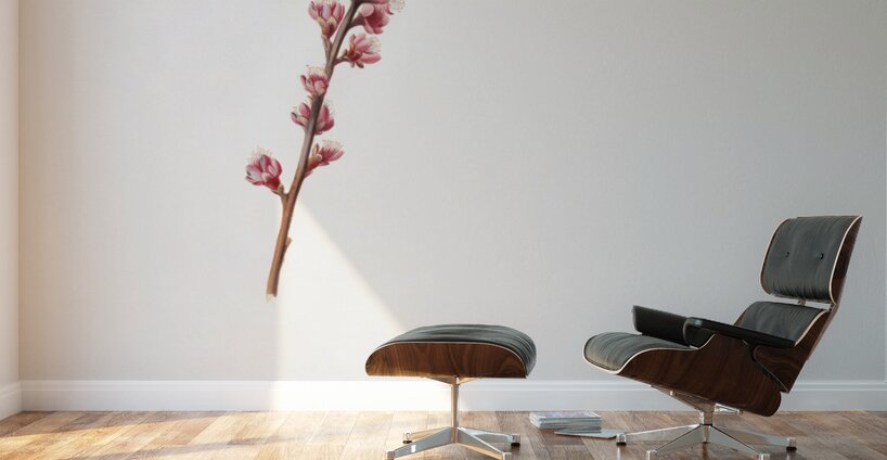 Peach blossom Prunus persica from Pomona Italiana 1817 - 1839 by Giorgio Gallesio 1772-1839.  Wall Murals