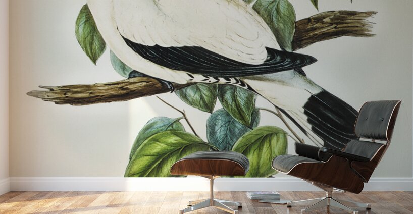 Torres Strait Fruit Pigeon Carpophaga luctuosa illustrated by Elizabeth Gould 1804–1841 for John Gould’s 1804-1881 Birds of Australia  Wall Murals