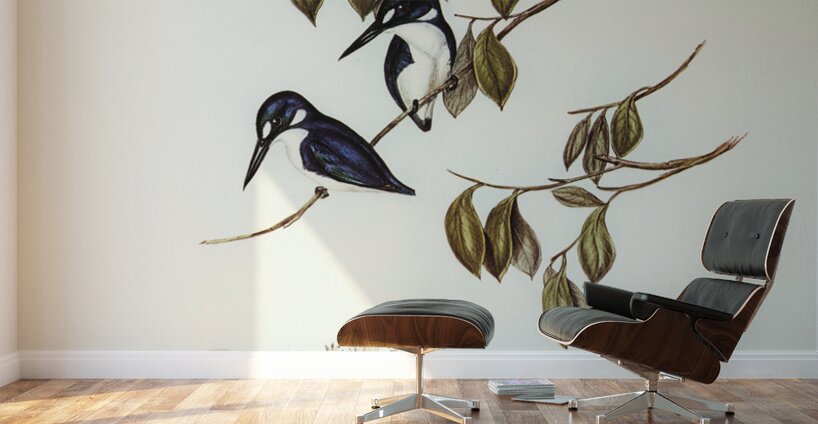 Little Kingfisher Alcyone pasilla illustrated by Elizabeth Gould 1804–1841 for John Gould’s 1804-1881 Birds of Australia  Wall Murals