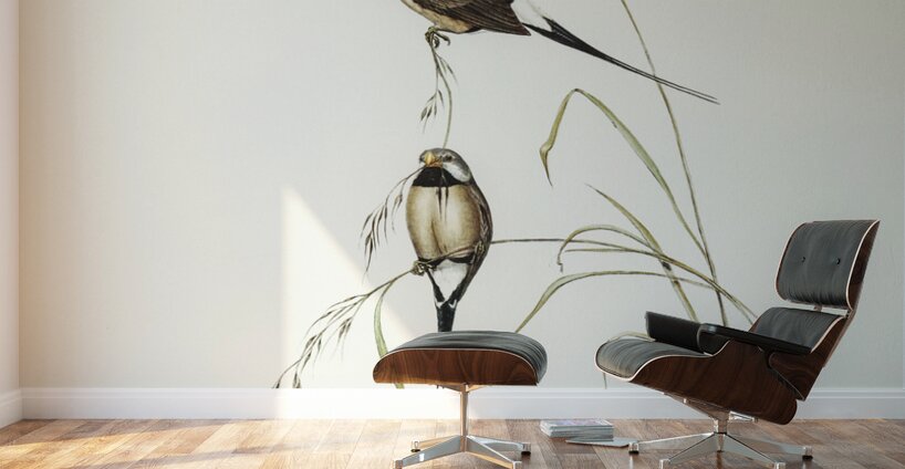 Yellow-breasted Robin Eopsaltria Australis illustrated by Elizabeth Gould 1804–1841 for John Gould’s 1804-1881 Birds of Australia  Wall Murals