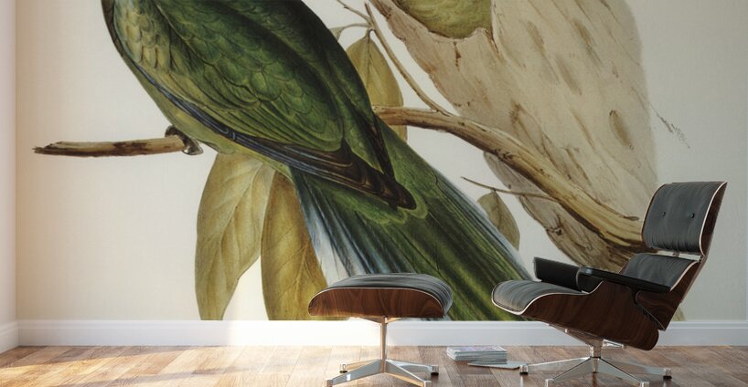 Curlew Sandpiper Schoeniclus subarquatus illustrated by Elizabeth Gould 1804–1841 for John Gould’s 1804-1881 Birds of Australia  Wall Murals