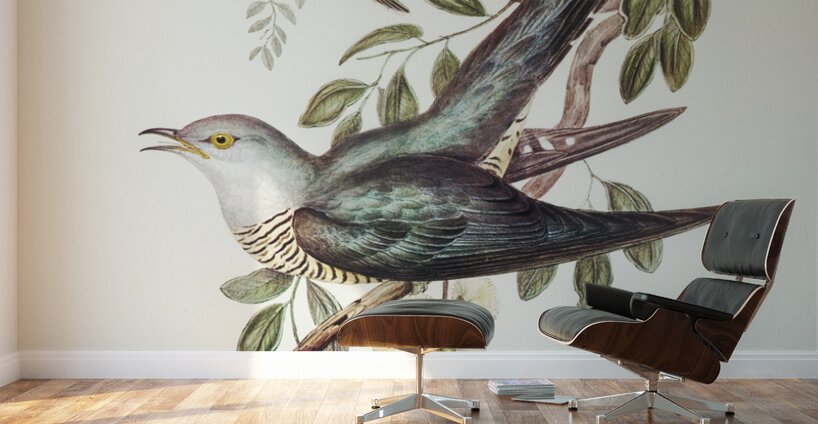 Chestnut-breasted Finch Donacola castaneothorax illustrated by Elizabeth Gould 1804–1841 for John Gould’s 1804-1881 Birds of Australia  Wall Murals