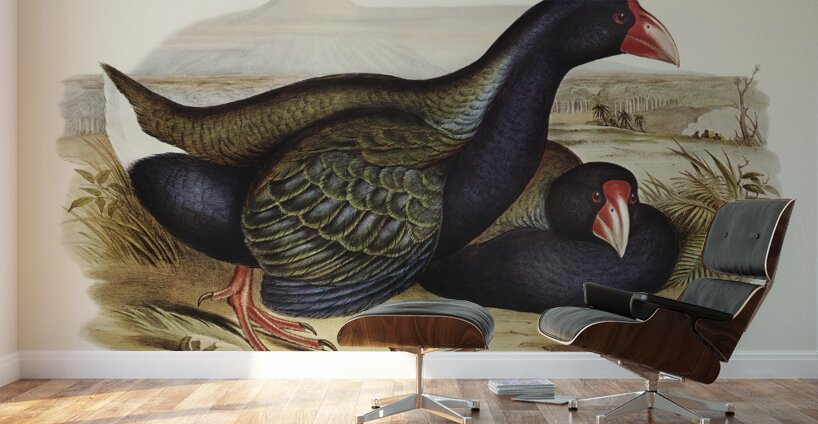 Notornis Notornix Mantelli illustrated by Elizabeth Gould 1804–1841 for John Gould’s 1804-1881 Birds of Australia  Wall Murals