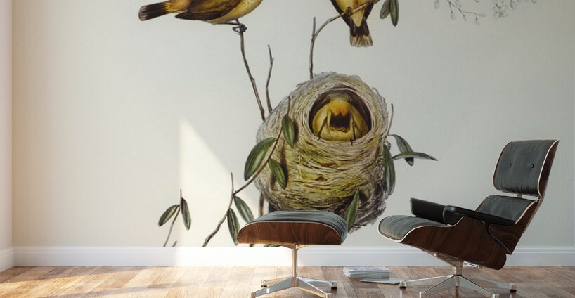 Regulus-like Acanthiza Acanthiza Reguloides illustrated by Elizabeth Gould 1804–1841 for John Gould’s 1804-1881 Birds of Australia  Wall Murals