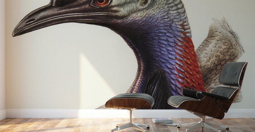 Australian Cassowary Casuarius australisillustrated by Elizabeth Gould 1804–1841 for John Gould’s 1804-1881 Birds of Australia  Wall Murals