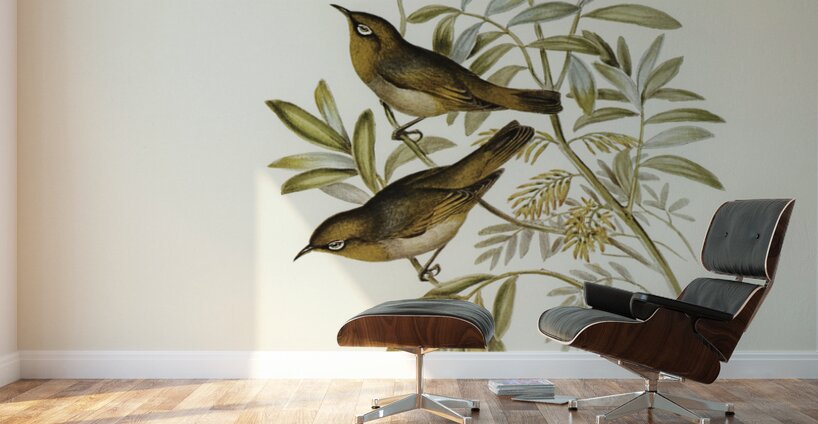 Grey-breasted Zosterops Zosterops tephropleurus illustrated by Elizabeth Gould 1804–1841 for John Gould’s 1804-1881 Birds of Australia  Wall Murals