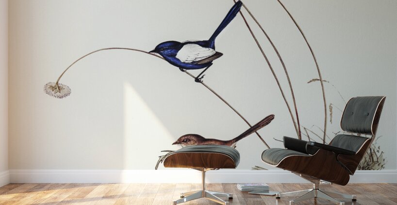 White-winged Wren Malurus leucopterus illustrated by Elizabeth Gould 1804–1841 for John Gould’s 1804-1881 Birds of Australia  Wall Murals