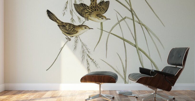 Lineated Warbler Cysticola lineocapilla illustrated by Elizabeth Gould 1804–1841 for John Gould’s 1804-1881 Birds of Australia  Wall Murals