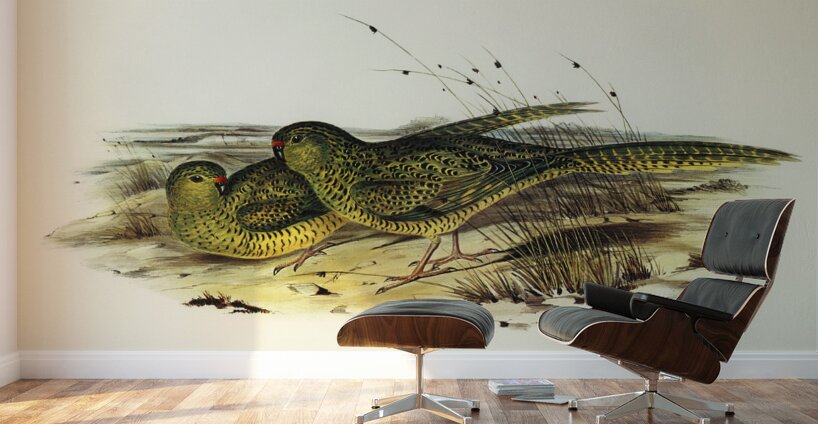 Ground Parakeet Pezoporus formosus illustrated by Elizabeth Gould 1804–1841 for John Gould’s 1804-1881 Birds of Australia  Wall Murals