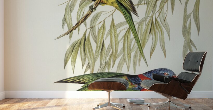 Red-collared Lorikeet Trichoglossus rubritorquis illustrated by Elizabeth Gould 1804–1841 for John Gould’s 1804-1881 Birds of Australia  Wall Murals