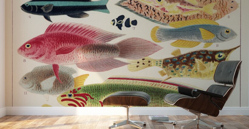 Great Barrier Reef Fishes from The Great Barrier Reef of Australia 1893 by William Saville-Kent 1845-1908. Fig 1: Fringe-finned Trevally Caranx ridiatus MacLeayFig 2: Dismond Trvally Caranx Gallus LinFig 3: Needle fish amphisile scuataFig 4: Blue band Wall Murals