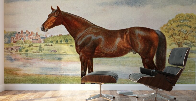 Persimmon Wall Murals