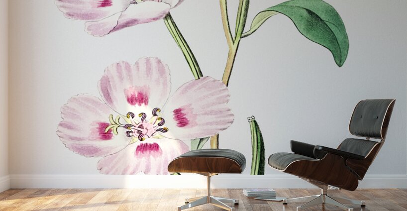 The spotted blush enothera from Edwards Botanical Register 1829-1847  by Sydenham Edwards John Lindley and James Ridgway. Wall Murals