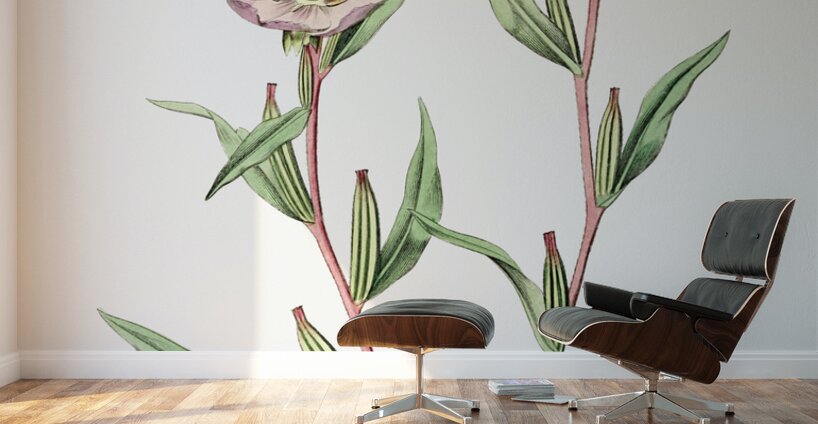 Pale Corona Amaryllis from Edwards Botanical Register 1829-1847  by Sydenham Edwards John Lindley and James Ridgway. Wall Murals