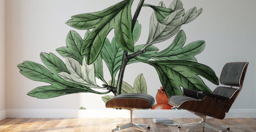 orocco hawthorn from Edwards Botanical Register 1829-1847  by Sydenham Edwards John Lindley and James Ridgway. Wall Murals