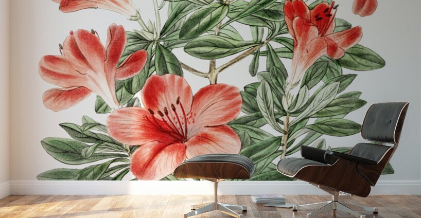 The brick-red Chinese azalea from Edwards Botanical Register 1829-1847  by Sydenham Edwards John Lindley and James Ridgway. Wall Murals