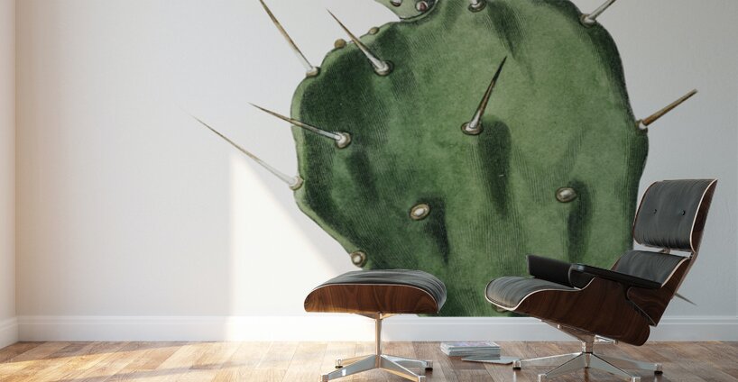 One spined opuntia from Edwards Botanical Register 1829-1847  by Sydenham Edwards John Lindley and James Ridgway. Wall Murals