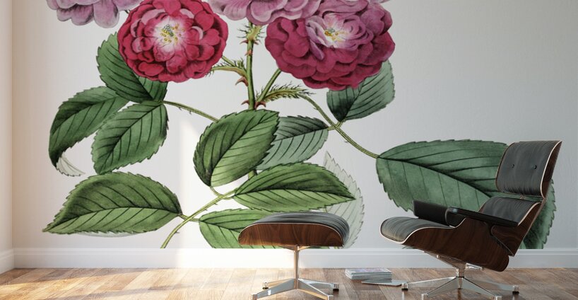 The seven sisters rose from Edwards Botanical Register 1829-1847  by Sydenham Edwards John Lindley and James Ridgway. Wall Murals