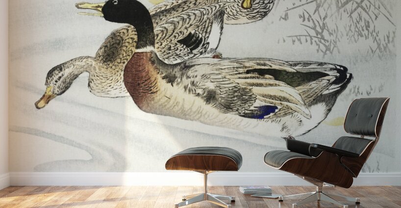 Three ducks in shallow water with reeds 1900 - 1930 by Ohara Koson 1877-1945. Wall Murals