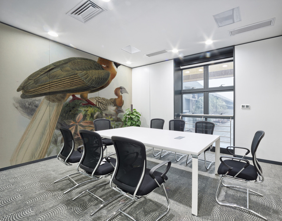 Hydrocorax semigaleatus 1882 Wall Printing