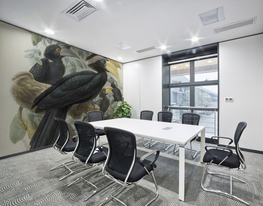 Anthracoceros malayanus 1882 Wall Printing