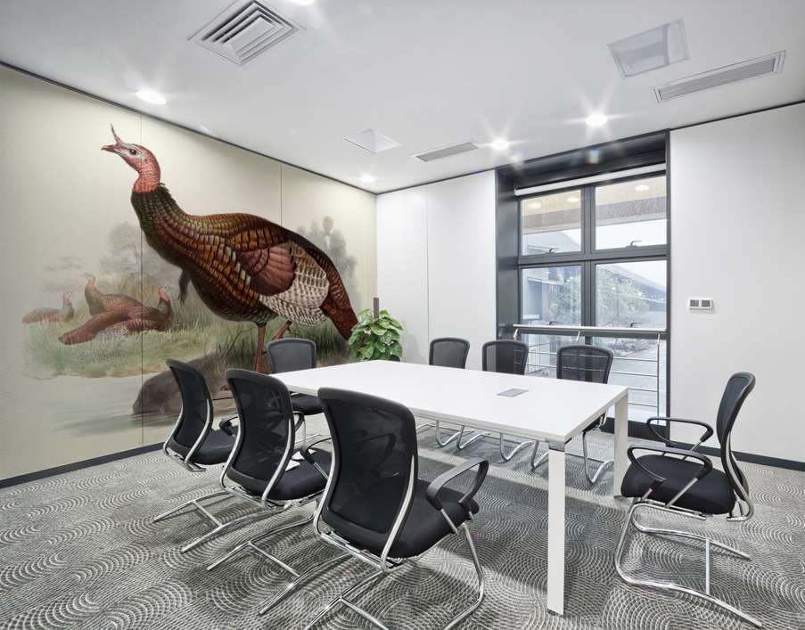 Meleagris gallopavo. 1872 Wall Printing