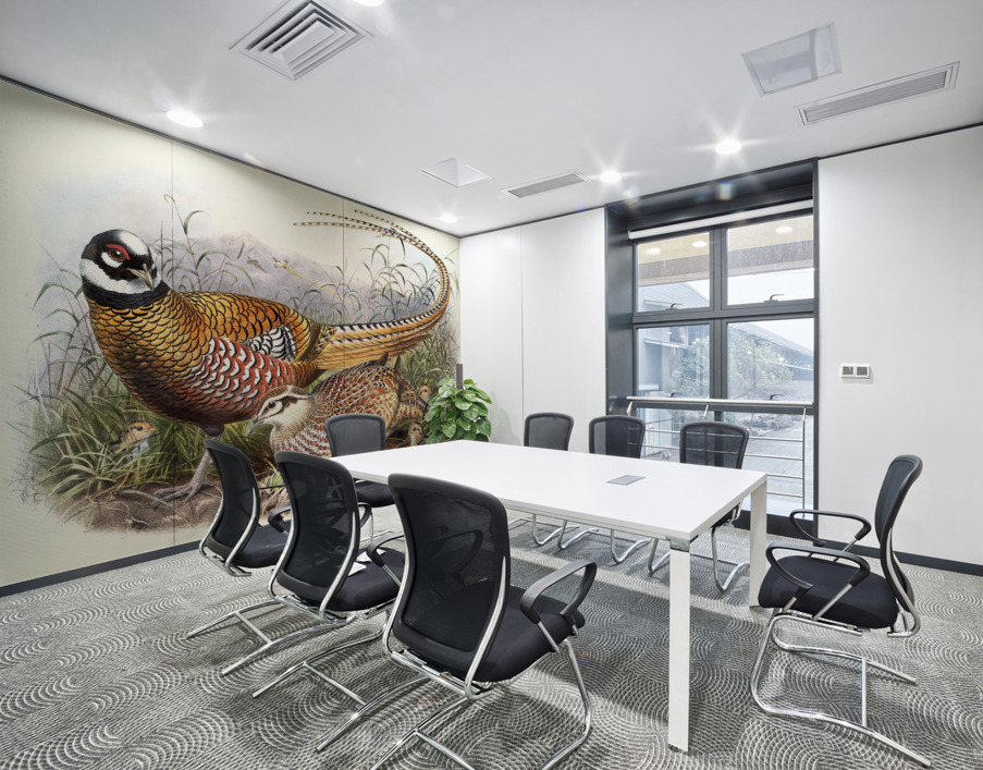 Phasianus Reevesii. 1872 Wall Printing