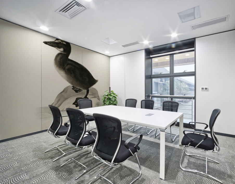 Somateria mollissima Wall Printing