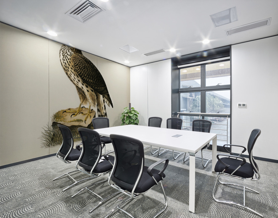 Goshawk Accipiter gentilis Wall Printing