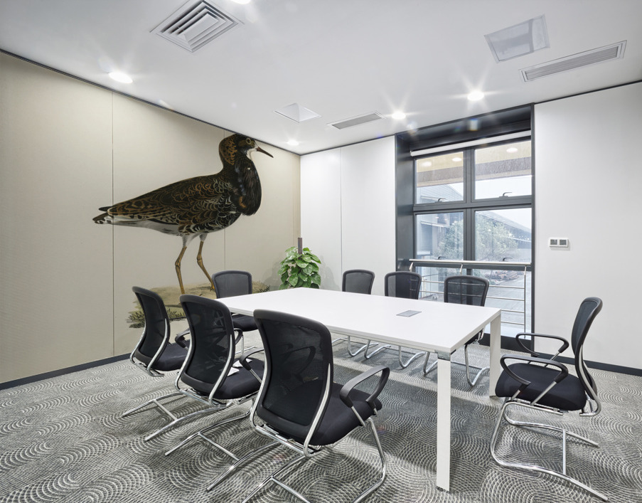 Ruff Pavoncella pugnaxr Wall Printing