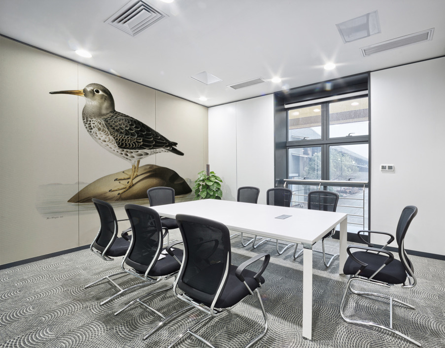 Purple Sandpiper tringa maritima Wall Printing